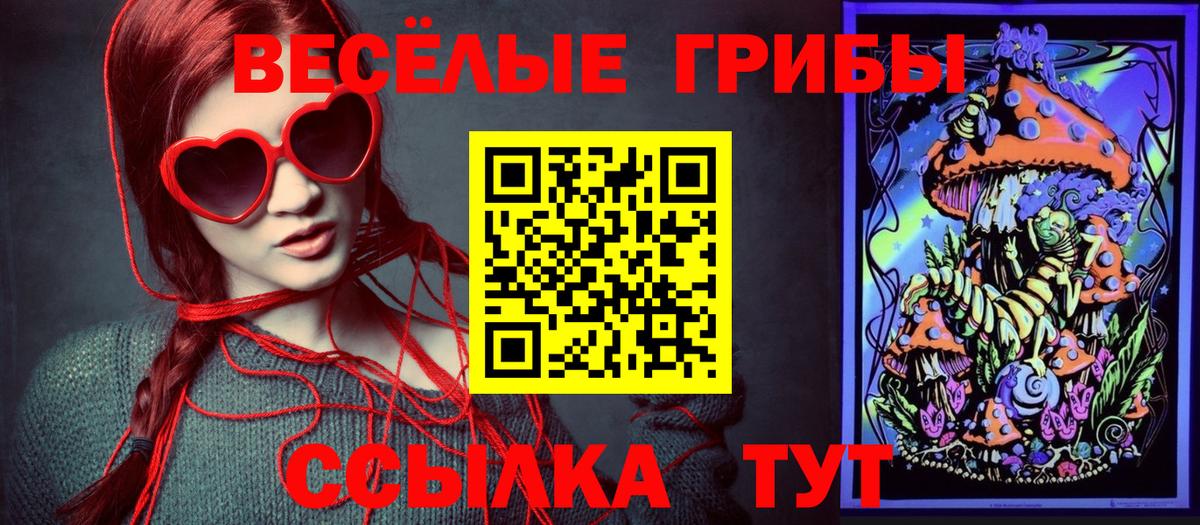 Галлюциногенные грибы Psilocybe  Галлюциногенные грибы Cubensis  Балаково  Вход с VPN 